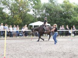IMG_1375_web